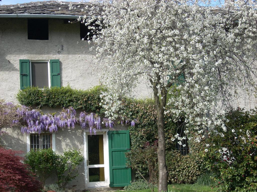 B&B L'Isola Piantedo Zewnętrze zdjęcie